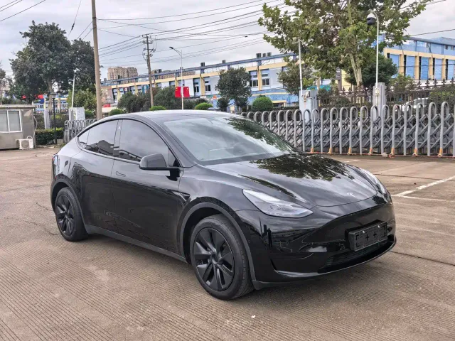 Tesla Model Y — Фото автомобиля 3