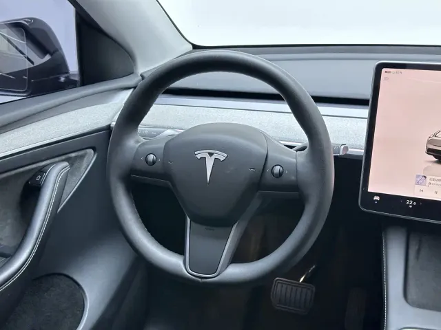 Tesla Model Y — Фото автомобиля 19