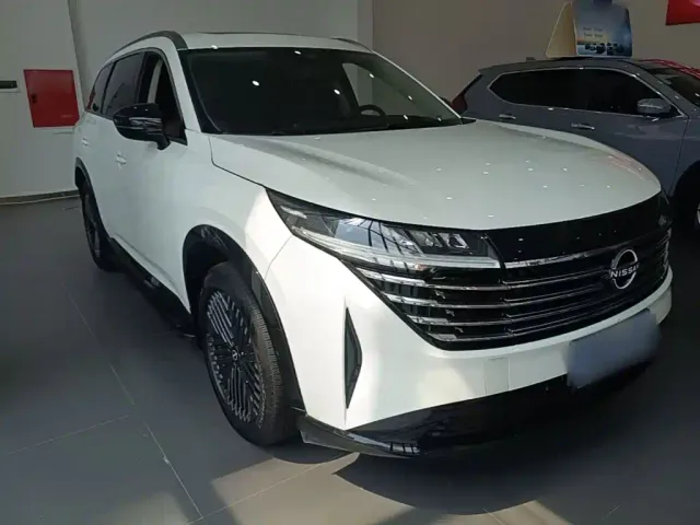 Nissan Terra — Фото автомобиля 3