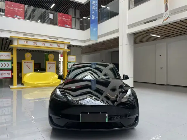 Tesla Model Y — Фото автомобиля 2