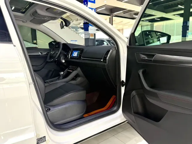 Skoda Karoq — Фото автомобиля 10