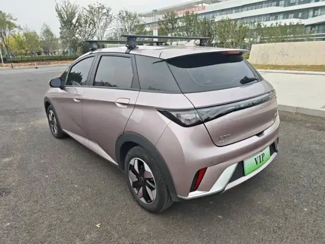 BYD Dolphin — Фото автомобиля 7