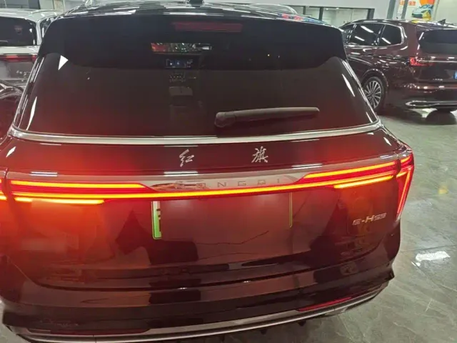 Hongqi E-HS9 — Фото автомобиля 5