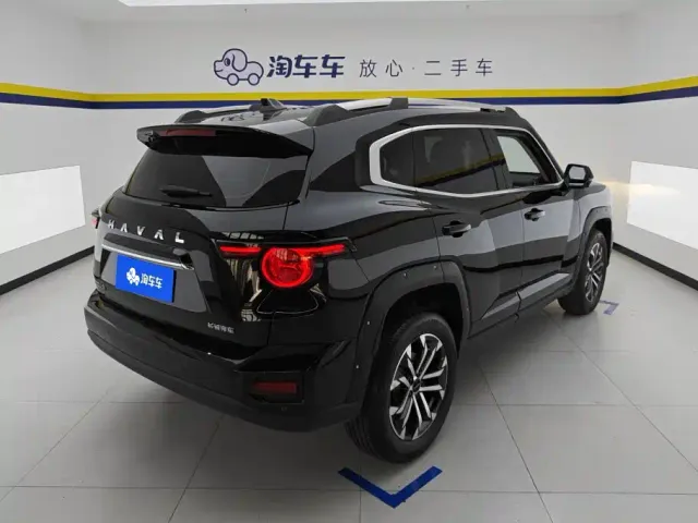 Haval Big Dog — Фото автомобиля 3