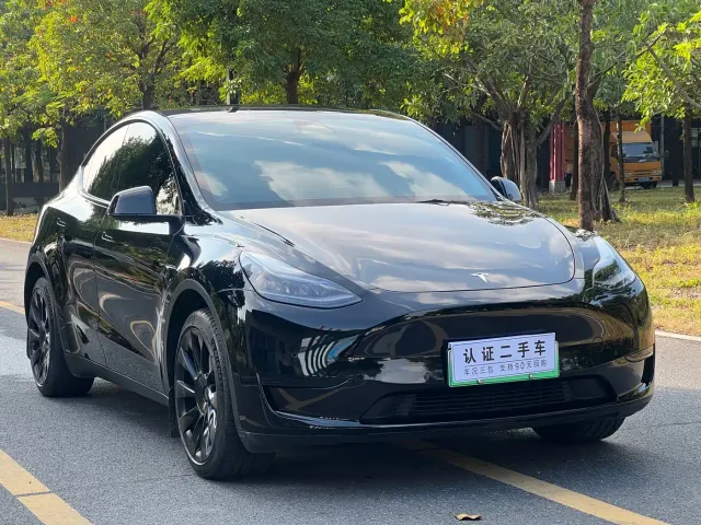 Tesla Model Y — Фото автомобиля 3