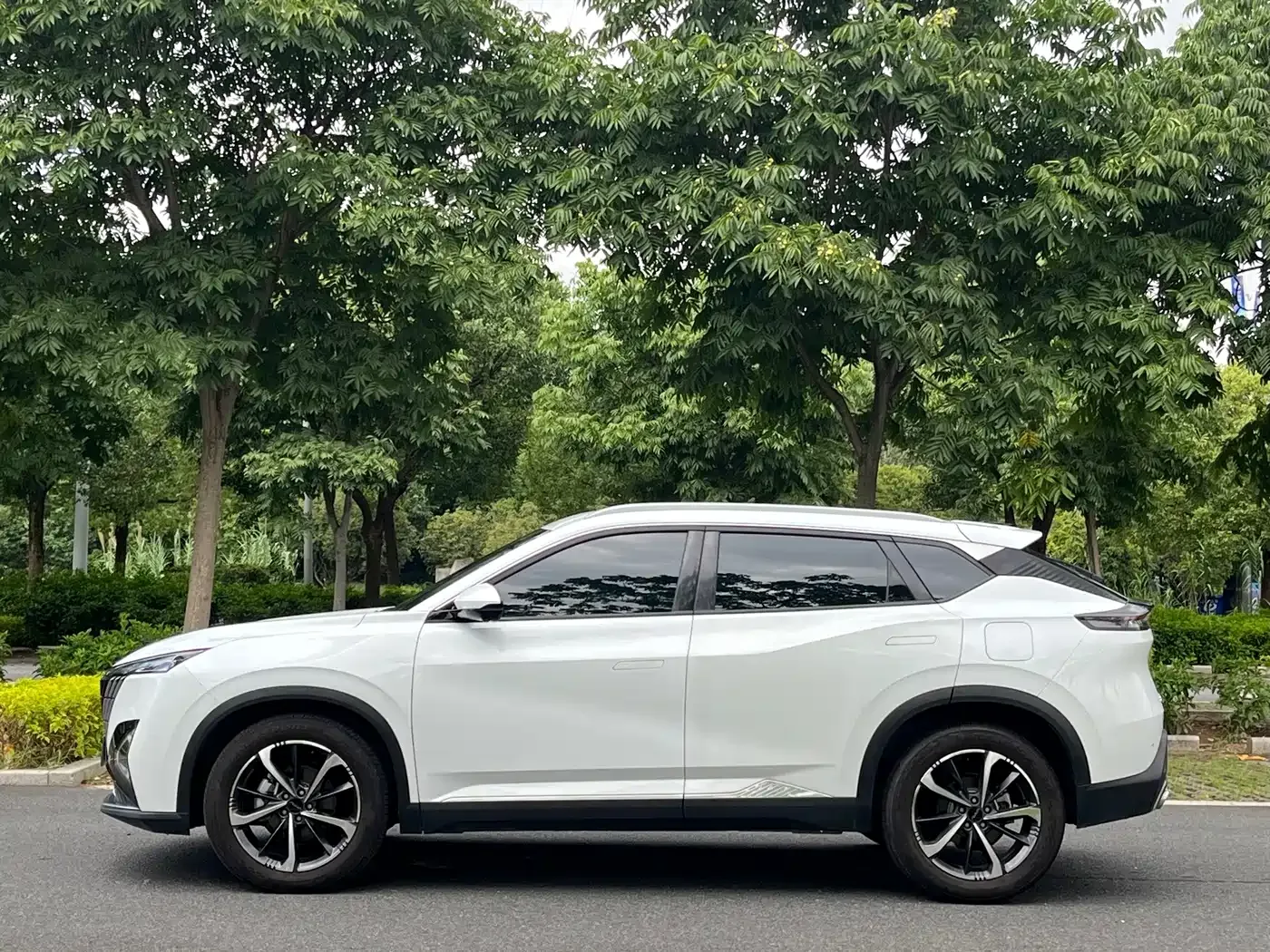 Dongfeng Aeolus Haohan 2024 Glory Edition DH-i 1.5T Luxury — Фото автомобиля 9