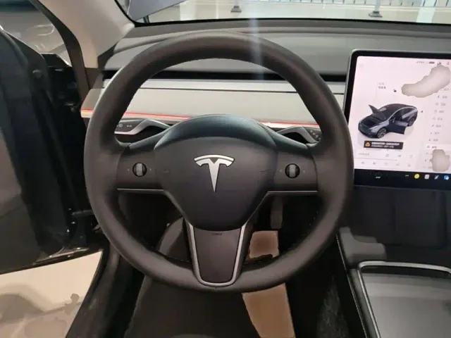 Tesla Model Y — Фото автомобиля 10