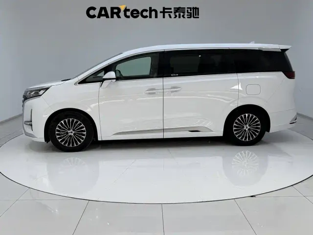 Denza Denza D9 2022 DM-i 970 All-Wheel Drive Honor Edition — Фото автомобиля 8