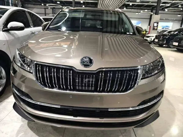 Skoda Karoq — Фото автомобиля 7