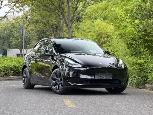 Tesla Model Y — Фото автомобиля 3