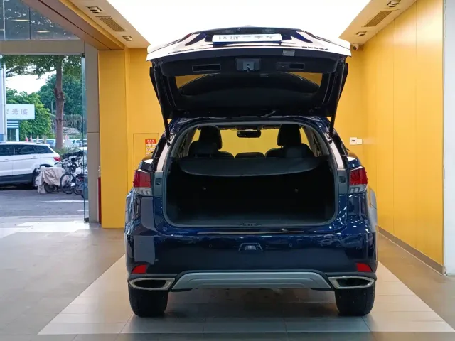 Lexus RX — Фото автомобиля 30
