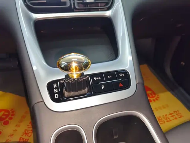 Geely Starry Wish — Фото автомобиля 13