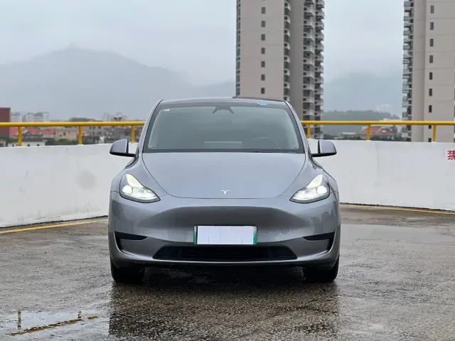 Tesla Model Y — Фото автомобиля 2