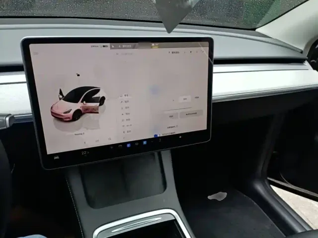 Tesla Model Y — Фото автомобиля 9