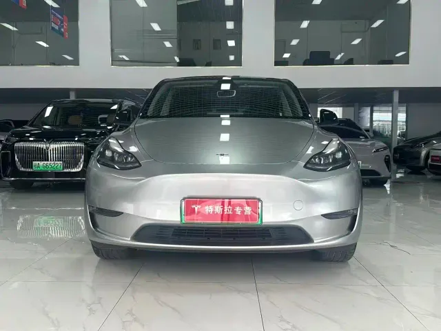 Tesla Model Y — Фото автомобиля 2