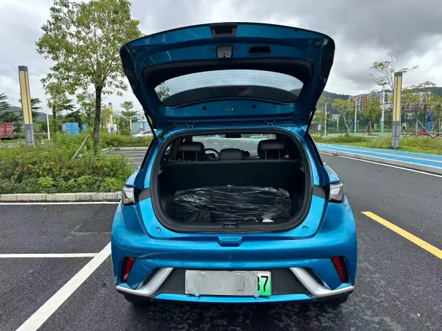 BYD Dolphin — Фото автомобиля 17