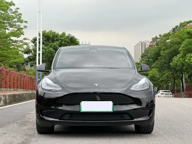 Tesla Model Y — Фото автомобиля 2