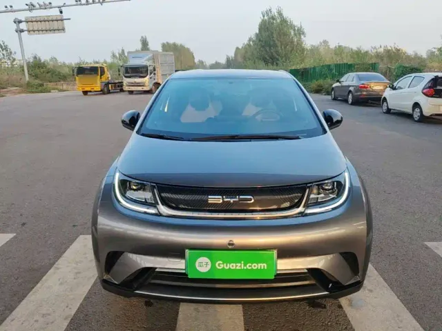 BYD Dolphin — Фото автомобиля 2