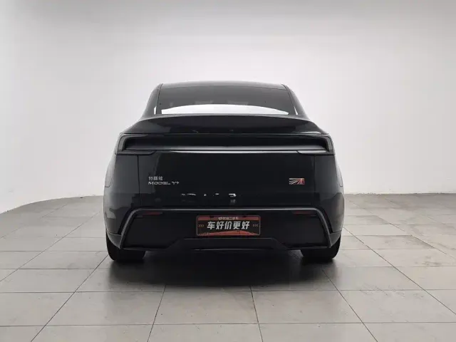 Tesla Model Y — Фото автомобиля 4