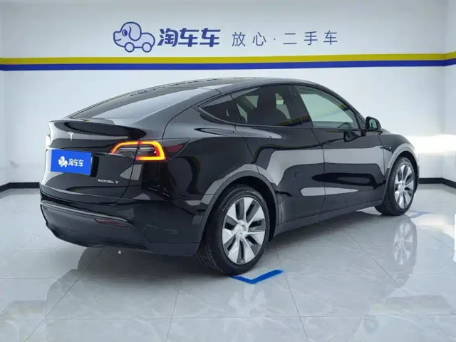 Tesla Model Y — Фото автомобиля 3