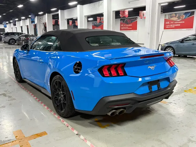 Ford Mustang — Фото автомобиля 16