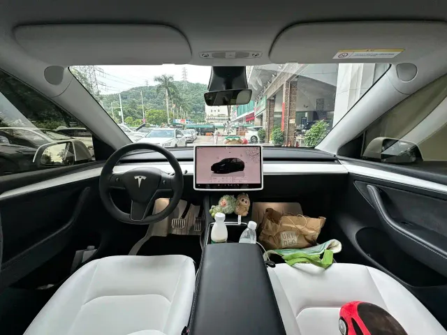 Tesla Model Y — Фото автомобиля 6