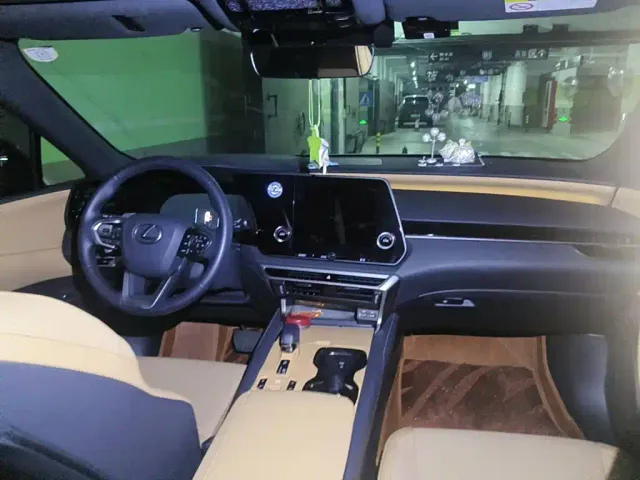 Lexus RX — Фото автомобиля 12