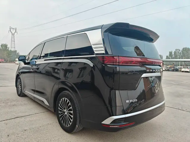 Denza Denza D9 2022 DM-i 1040 Premium — Фото автомобиля 4