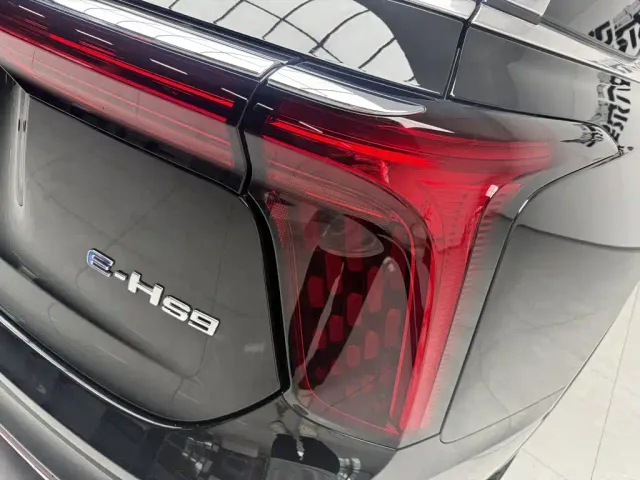 Hongqi E-HS9 — Фото автомобиля 6