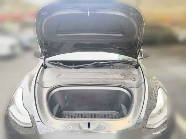 Tesla Model Y — Фото автомобиля 3