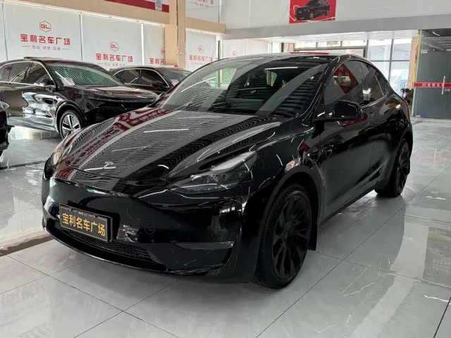 Tesla Model Y — Фото автомобиля 3