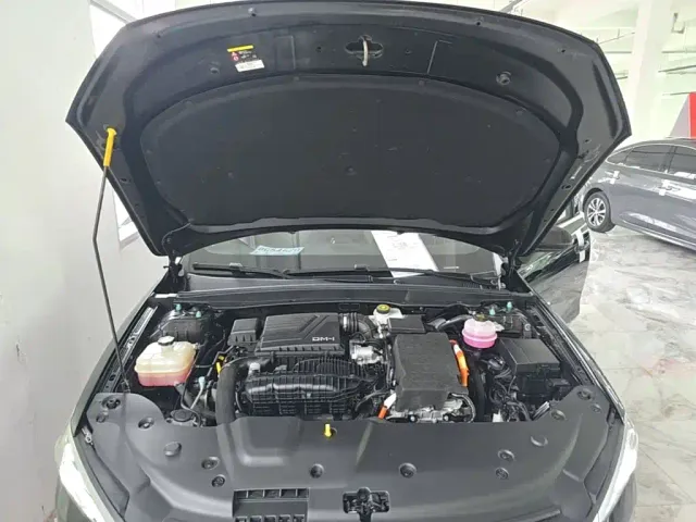 BYD Qin PLUS — Фото автомобиля 19