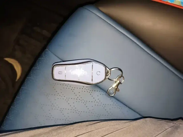 BYD Dolphin 2021 Model 405km Fashion Edition — Фото автомобиля 8