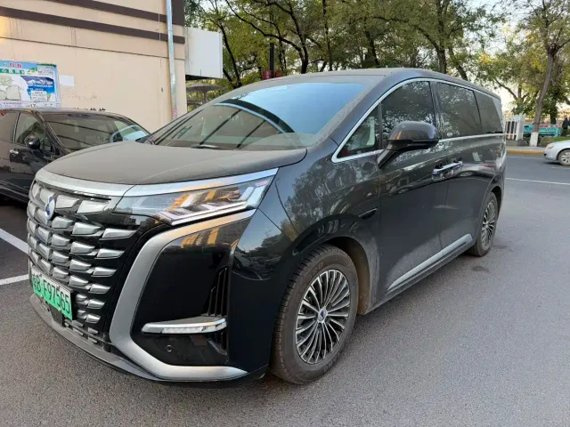 Фотография автомобиля — Denza D9