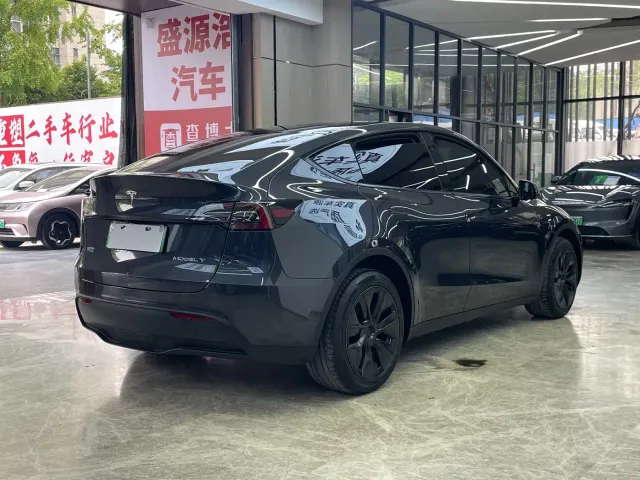 Tesla Model Y — Фото автомобиля 7