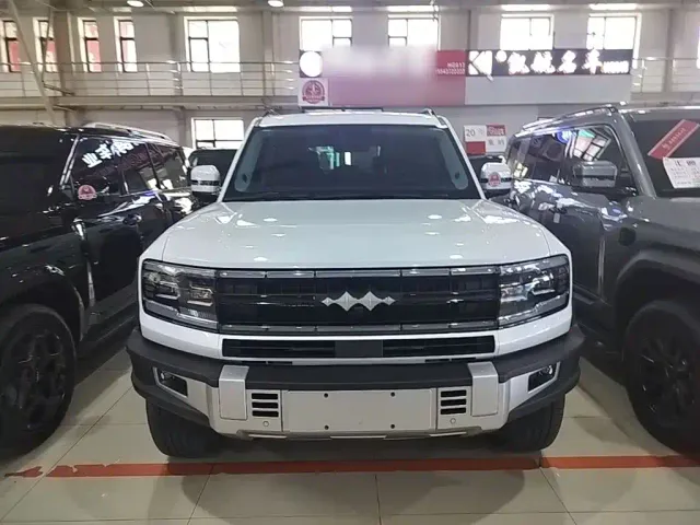 BYD FangChengBao Leopard 5 — Фото автомобиля 2