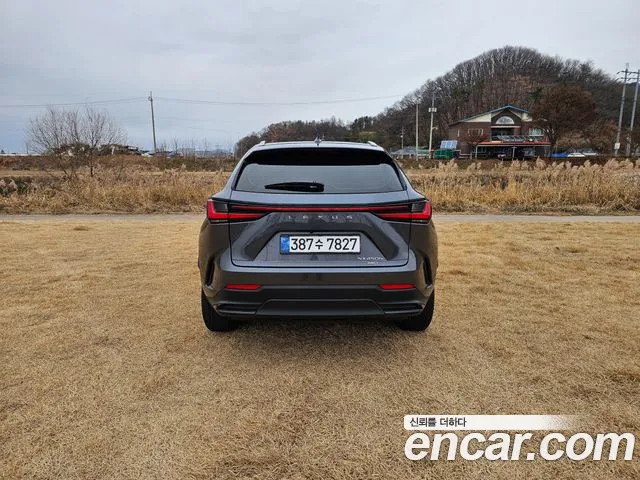 Lexus NX — Фото автомобиля 6