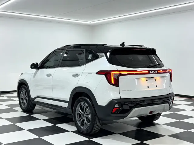 Kia Seltos — Фото автомобиля 9