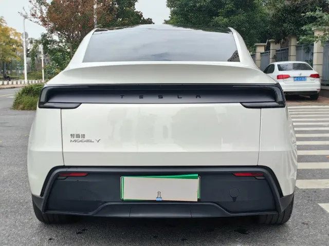 Tesla Model Y — Фото автомобиля 12