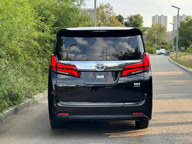 Toyota Alphard — Фото автомобиля 16