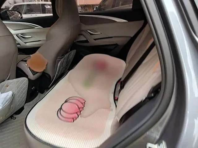 BYD Song Pro — Фото автомобиля 16