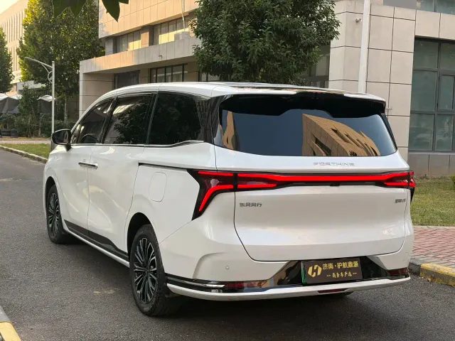 Forthing Xinghai V9 — Фото автомобиля 5
