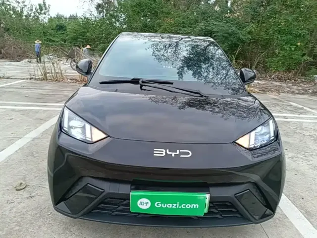 BYD Seagull 2023 Vitality Edition — Фото автомобиля 2