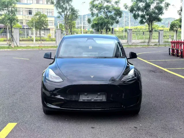 Tesla Model Y — Фото автомобиля 2