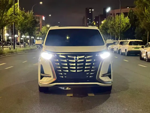 Denza Denza D9 2022 DM-i 1040 Premium — Фото автомобиля 2
