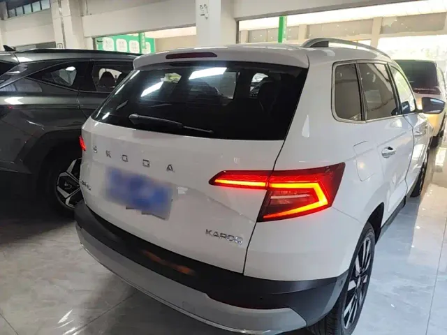 Skoda Karoq — Фото автомобиля 6