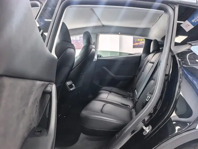 Tesla Model Y — Фото автомобиля 13