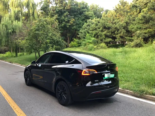 Tesla Model Y — Фото автомобиля 16