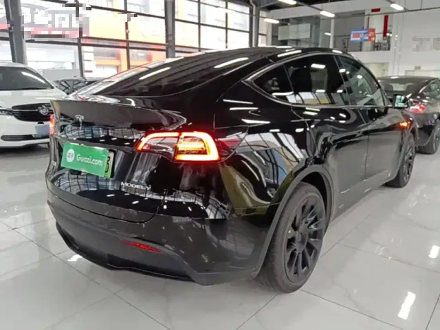 Tesla Model Y — Фото автомобиля 6