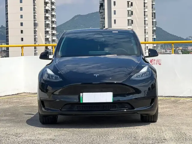 Tesla Model Y — Фото автомобиля 2